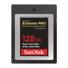 SanDisk : Picture 1 regular