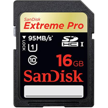 SanDisk : Picture 1 regular