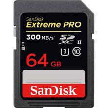 SanDisk : Picture 1 regular