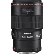 Canon : Picture 1 regular