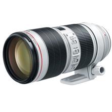 Canon : Picture 1 regular