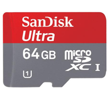 SanDisk : Picture 1 regular