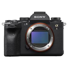 Sony : Picture 1 regular