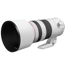 Canon : Picture 1 regular
