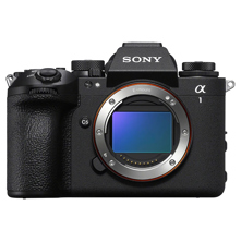 Sony : Picture 1 regular