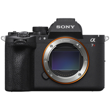 Sony : Picture 1 regular