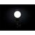 Profoto : Picture 10 thumbnail