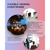 Amazon : Picture 10 thumbnail