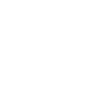 lightbulb icon